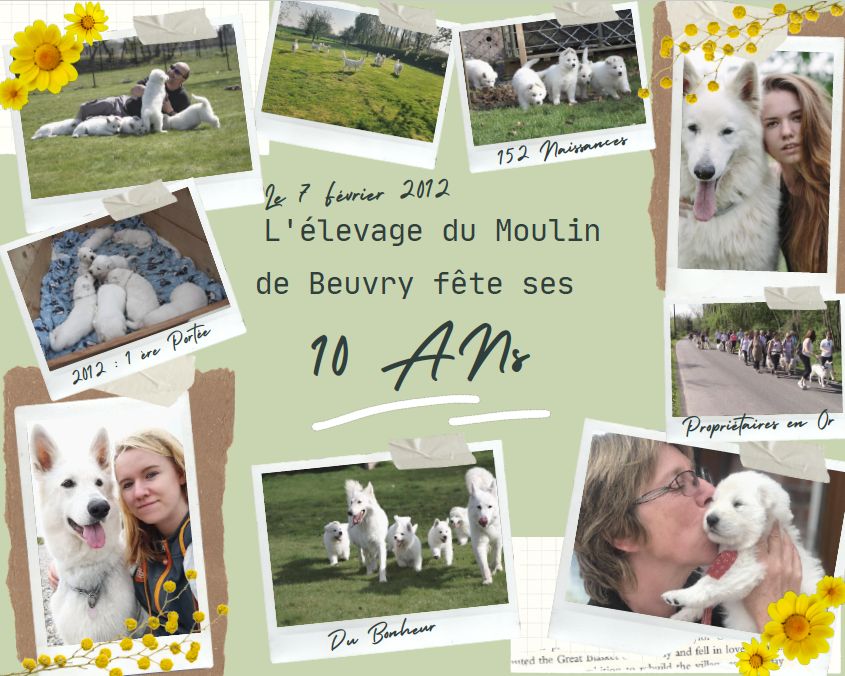 Du Moulin De Beuvry - 10 ANS !