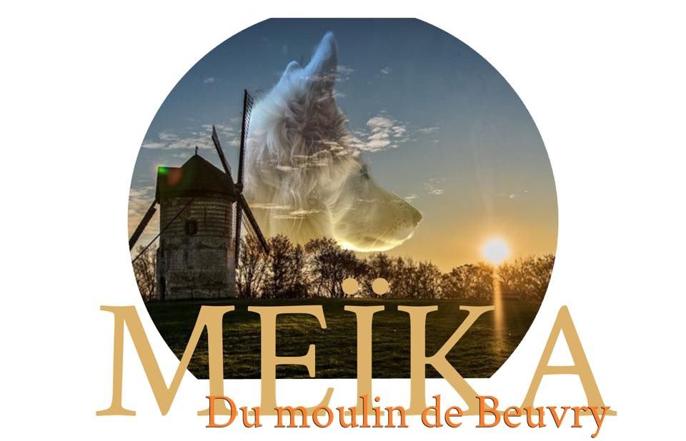 Meïka Du Moulin De Beuvry