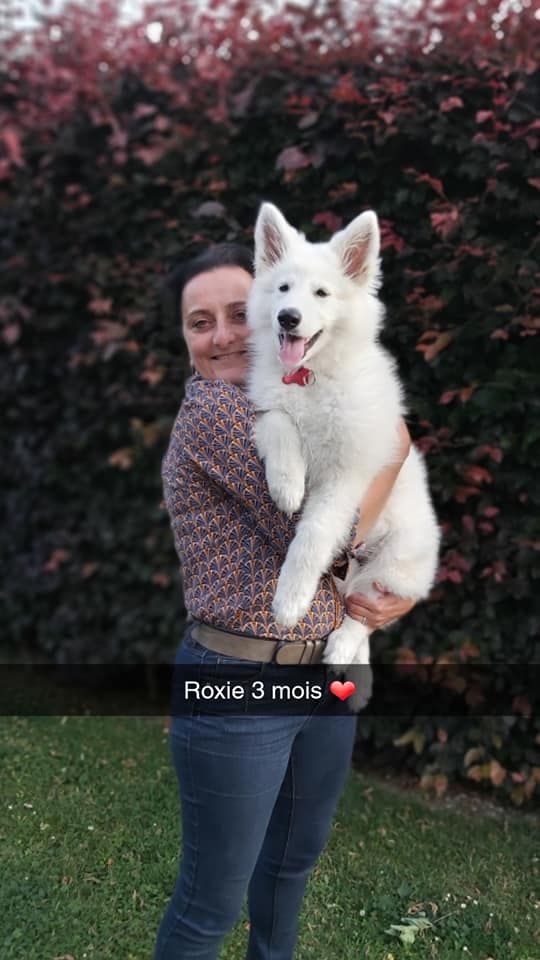 Roxie Du Moulin De Beuvry