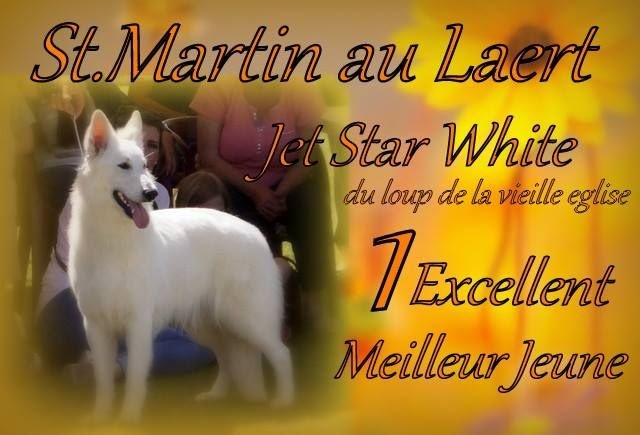 CH. Jet star  white du Loup de la Vieille Eglise