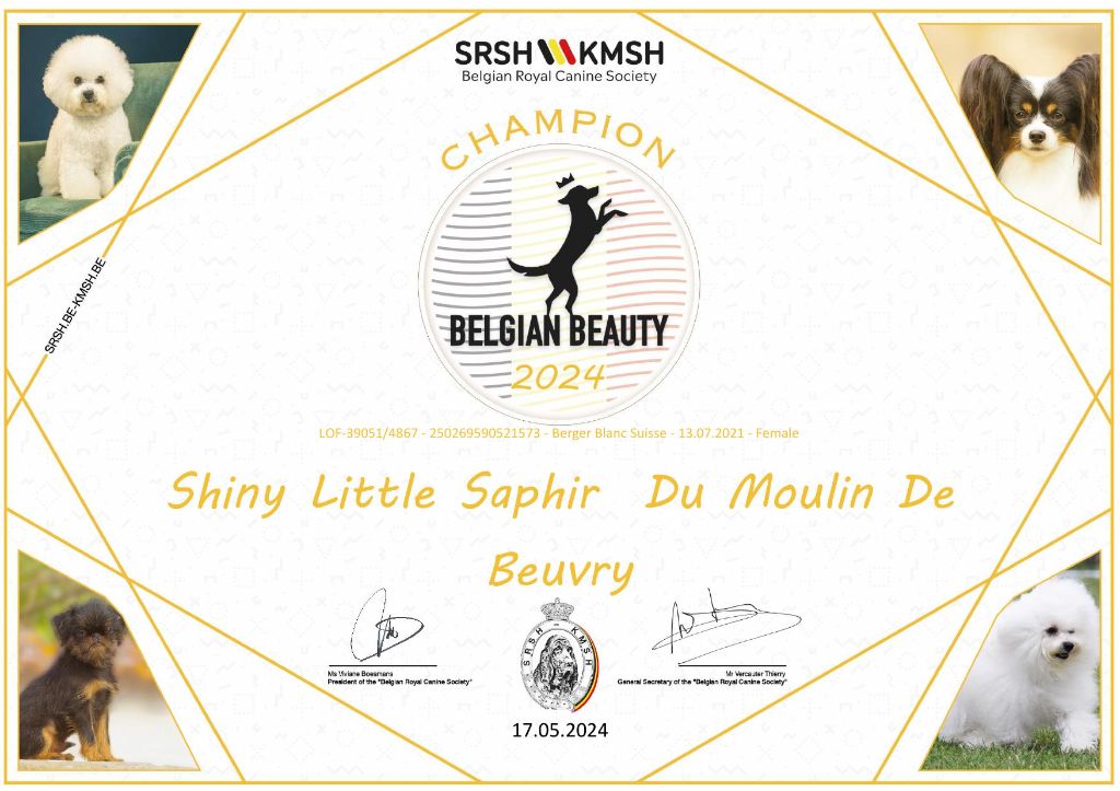 CH. Shiny little saphir Du Moulin De Beuvry