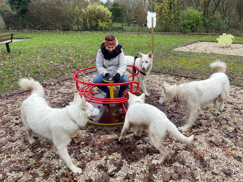 S'fantom Du Moulin De Beuvry