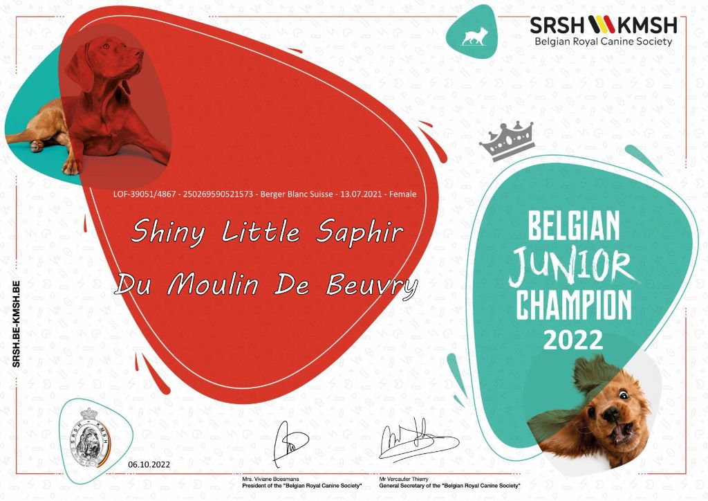 CH. Shiny little saphir Du Moulin De Beuvry