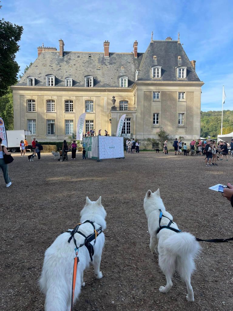 S'fantom Du Moulin De Beuvry