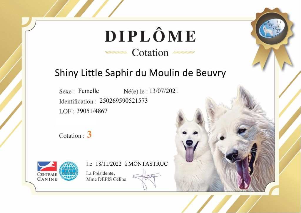 CH. Shiny little saphir Du Moulin De Beuvry