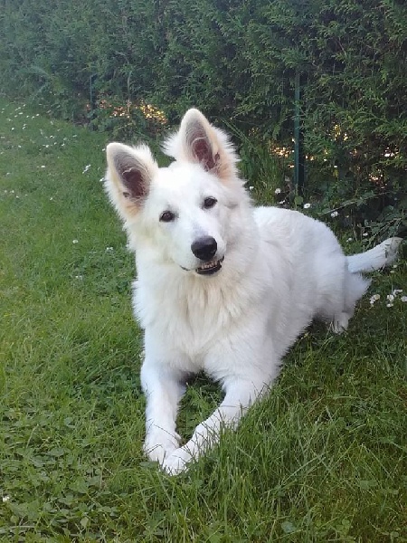 Maddy Du Moulin De Beuvry