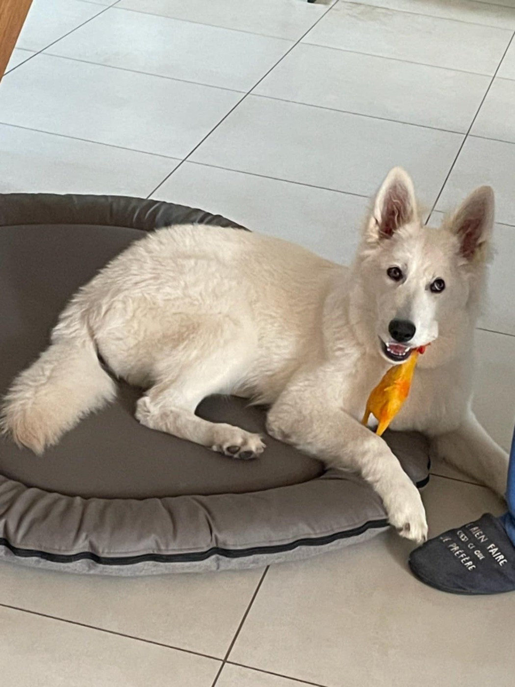 T'sticky Du Moulin De Beuvry