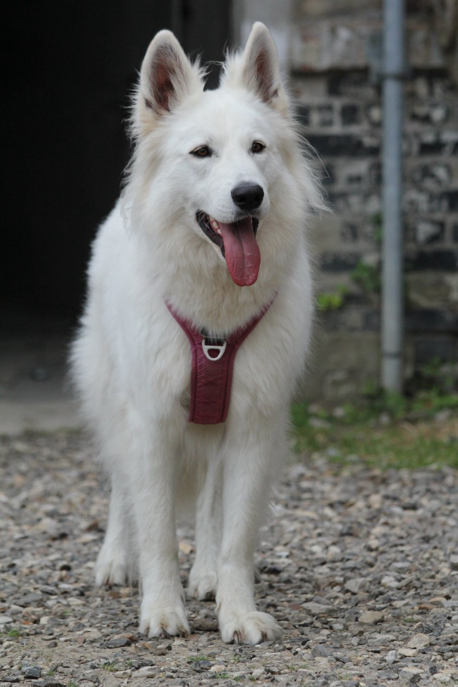 Tao Du Moulin De Beuvry