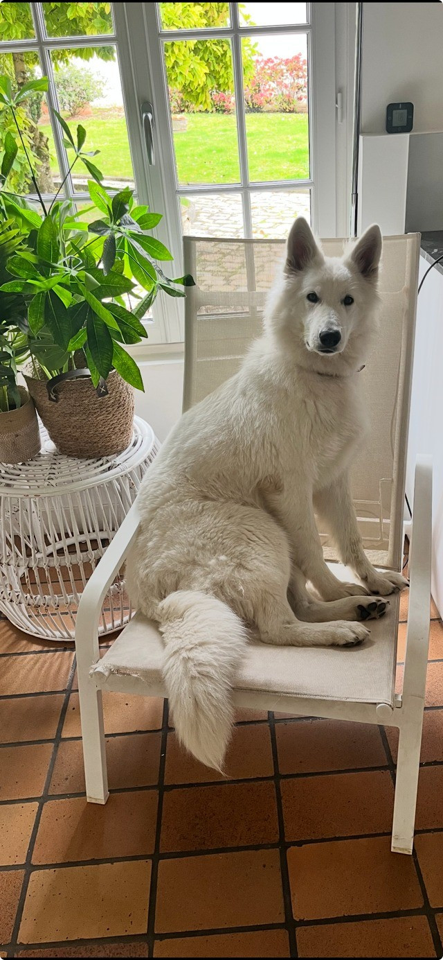 Vera Du Moulin De Beuvry