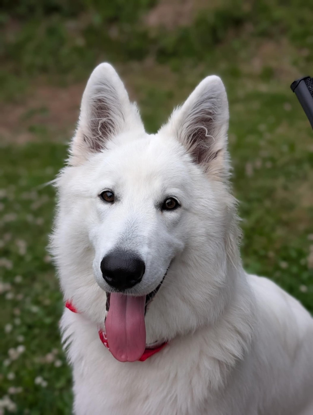 Vesper Du Moulin De Beuvry