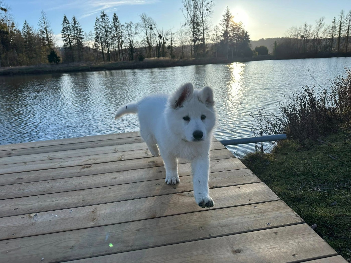 ARES Du Moulin De Beuvry