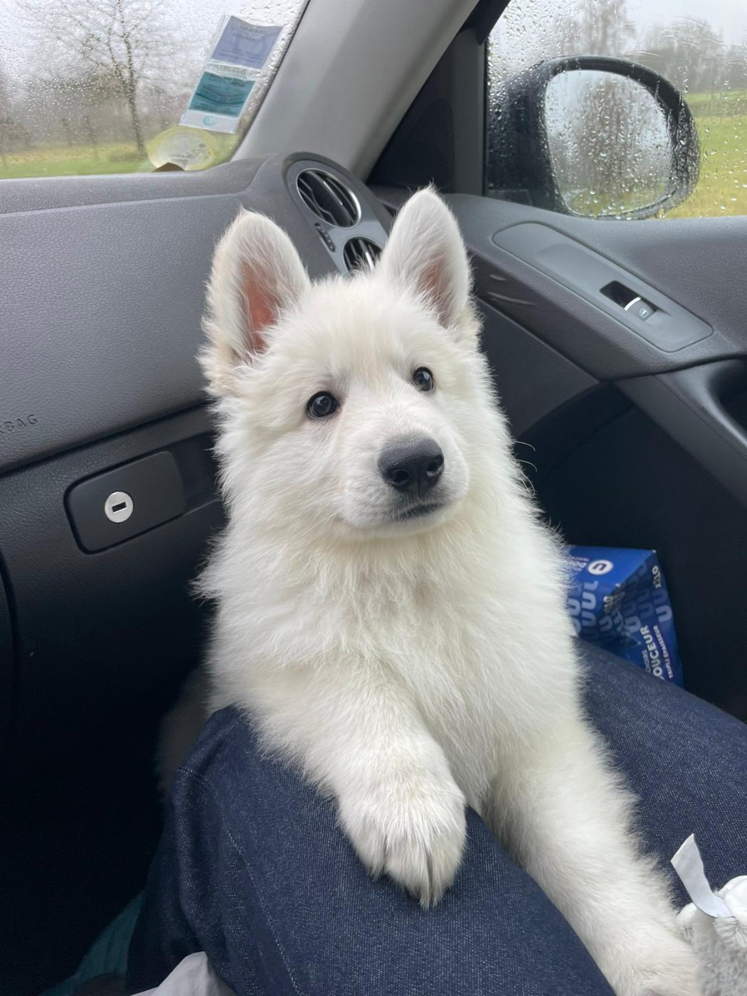 ATLAS Du Moulin De Beuvry