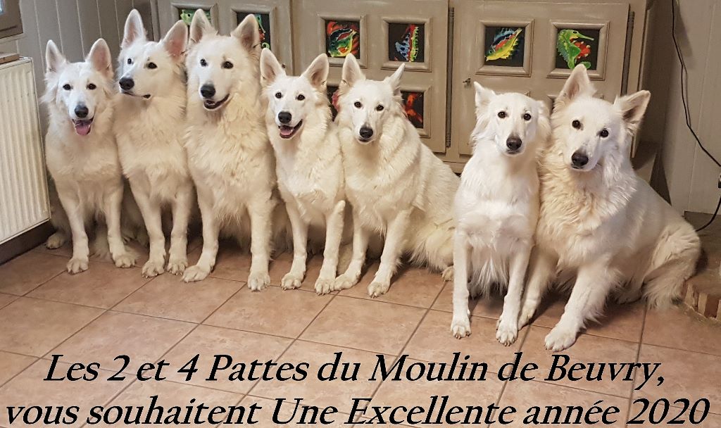 CHALLENGE NOEL 2019