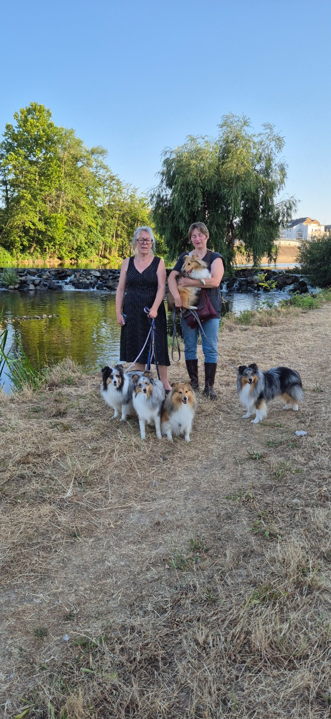 Nos chiens à l'extérieur