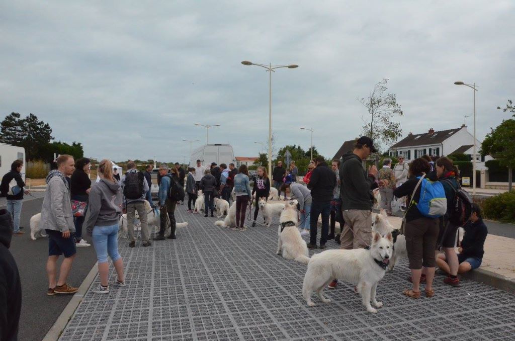 Sortie à Malo Lez Bains le 25 Juin 2017