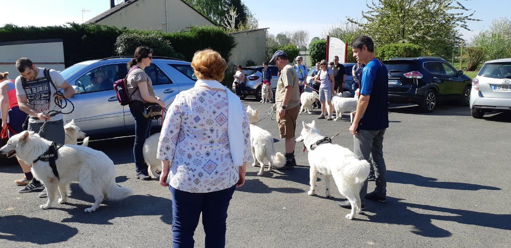 Sortie sur Péronne avril 2019