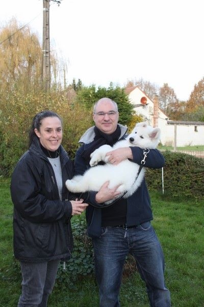Chiots HAÑA & CHEYENNE le jour du Départ (Novembre 2014)