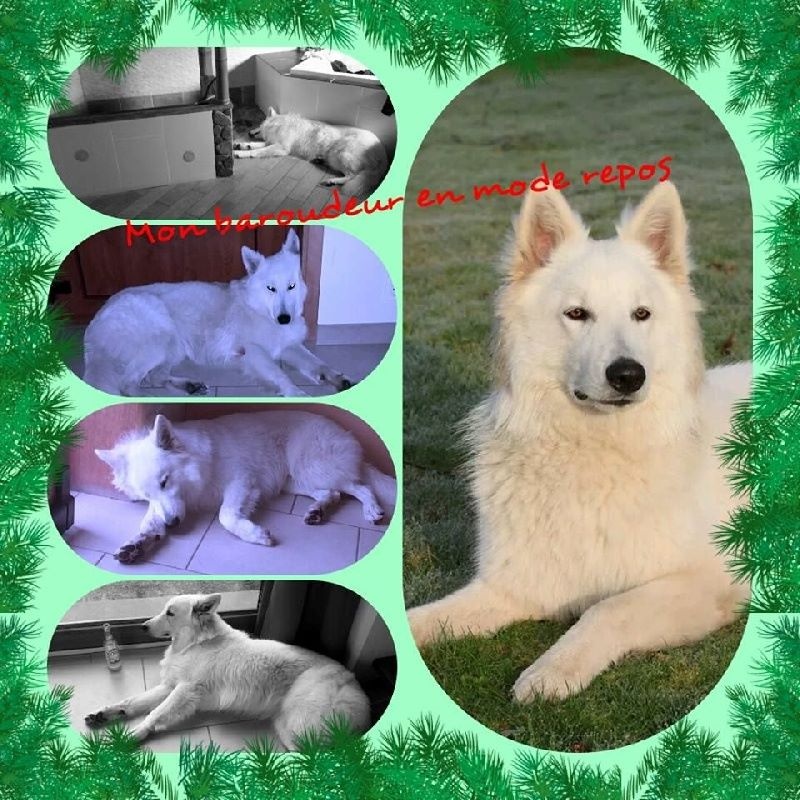Montage et "cadeaux" de nos clients/amis