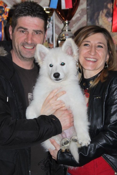 Nos bébés le jour du départ, bb gokane/etna/falkor nés le 13&14.1.16