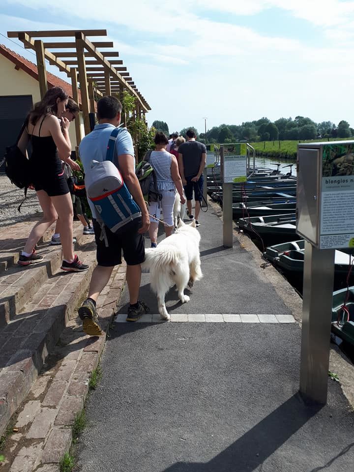 Sortie Marais Audomarois 27 mai 2018