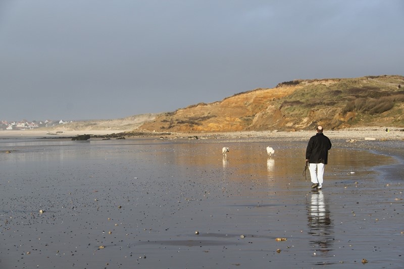 Sortie à la mer près de Wissant (Pointe aux oies) le 14.12.13