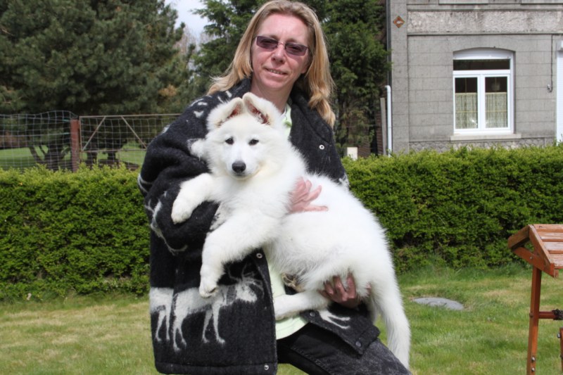 Nos chiots 2012 le jour du départ.....