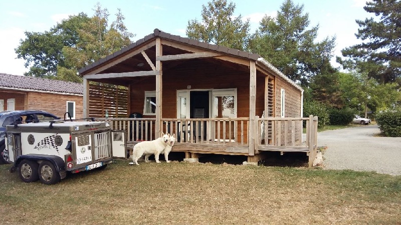 Quelques clichés de vacances AUVERGNE 2016 avec HATCHI & LADY