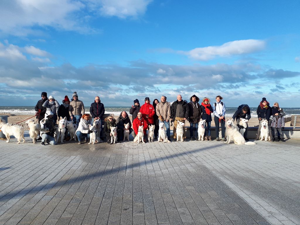 Sortie à Calais le 9 décembre 2018