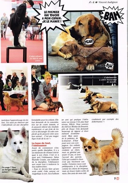Articles de Jounaux, revue de Presse